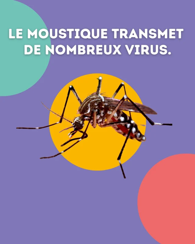 🛑 Stop aux idées reçues sur le VIH ! 

 #santé #VIH #idéereçue #moustique